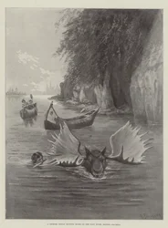 Um, indianas chinook, caça, alces, ligado, a, rio taku, columbia britânica